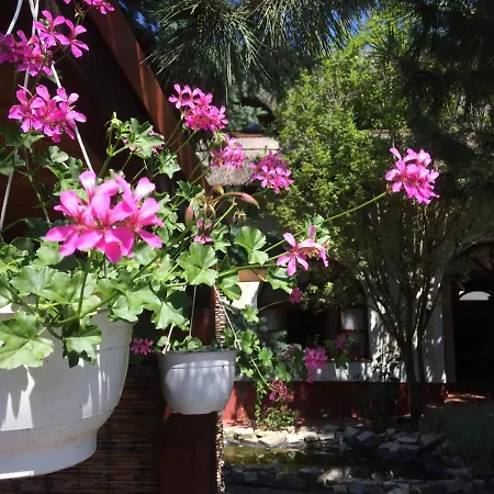 Oereghaz 1839 Csopak